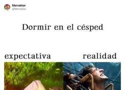 Enlace a Y si es de noche, ya flipas