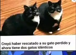 No puedo diferenciarlos