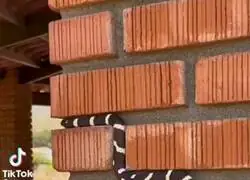 Me recuerda mucho al Snake de Nokia