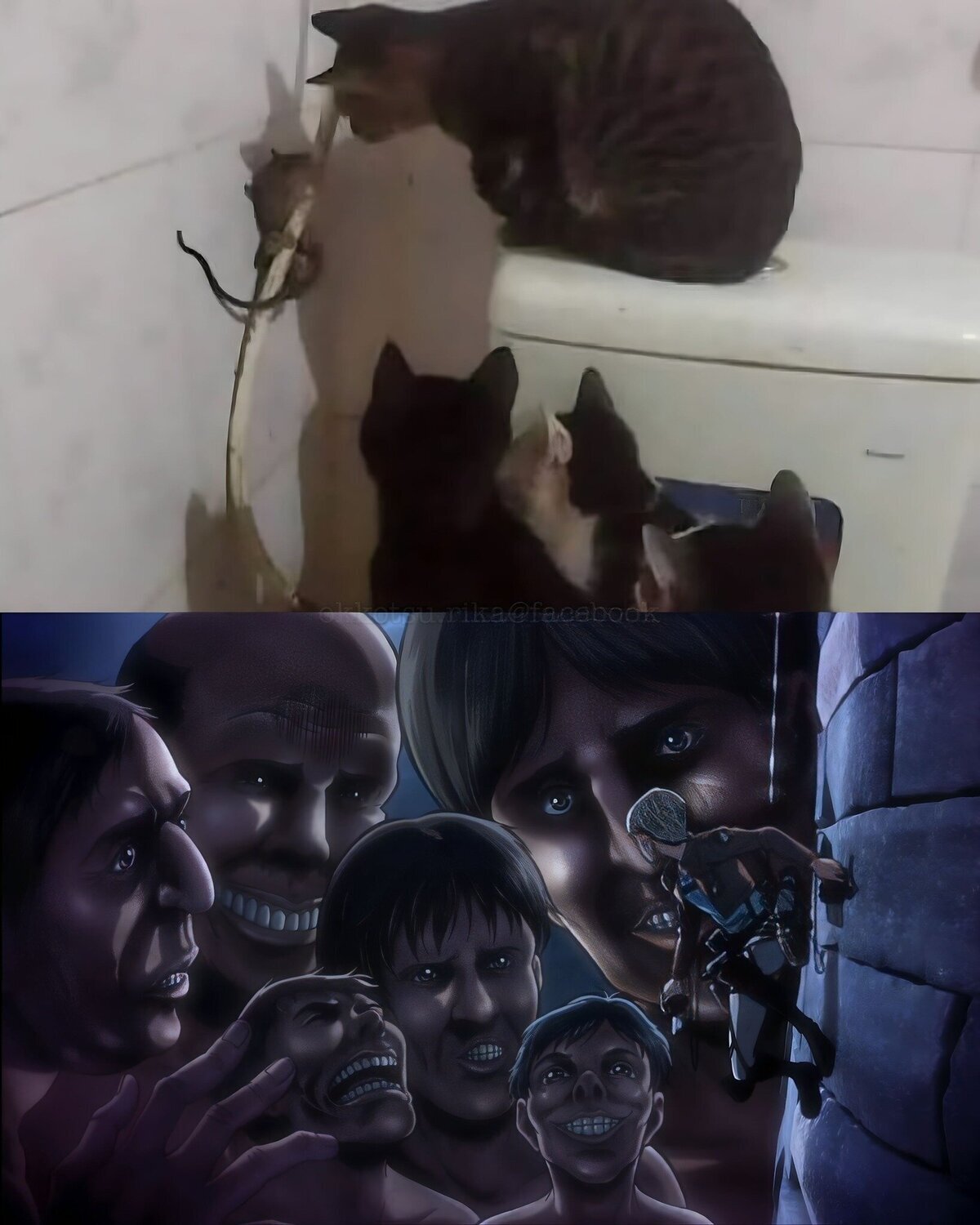 Lo mismo pero diferente