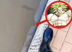 Me sent&iacute; como Broly