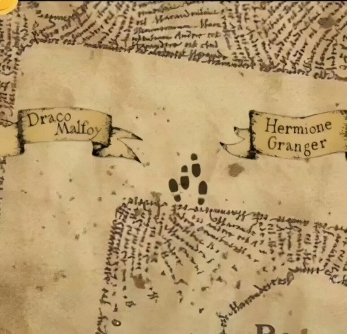 Hermione nos tiene que explicar esto