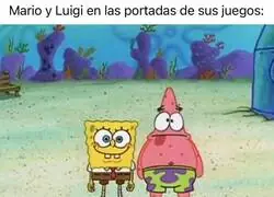 Siempre se ven monos