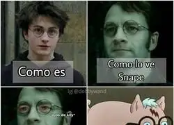 Como un cerdo para el matadero