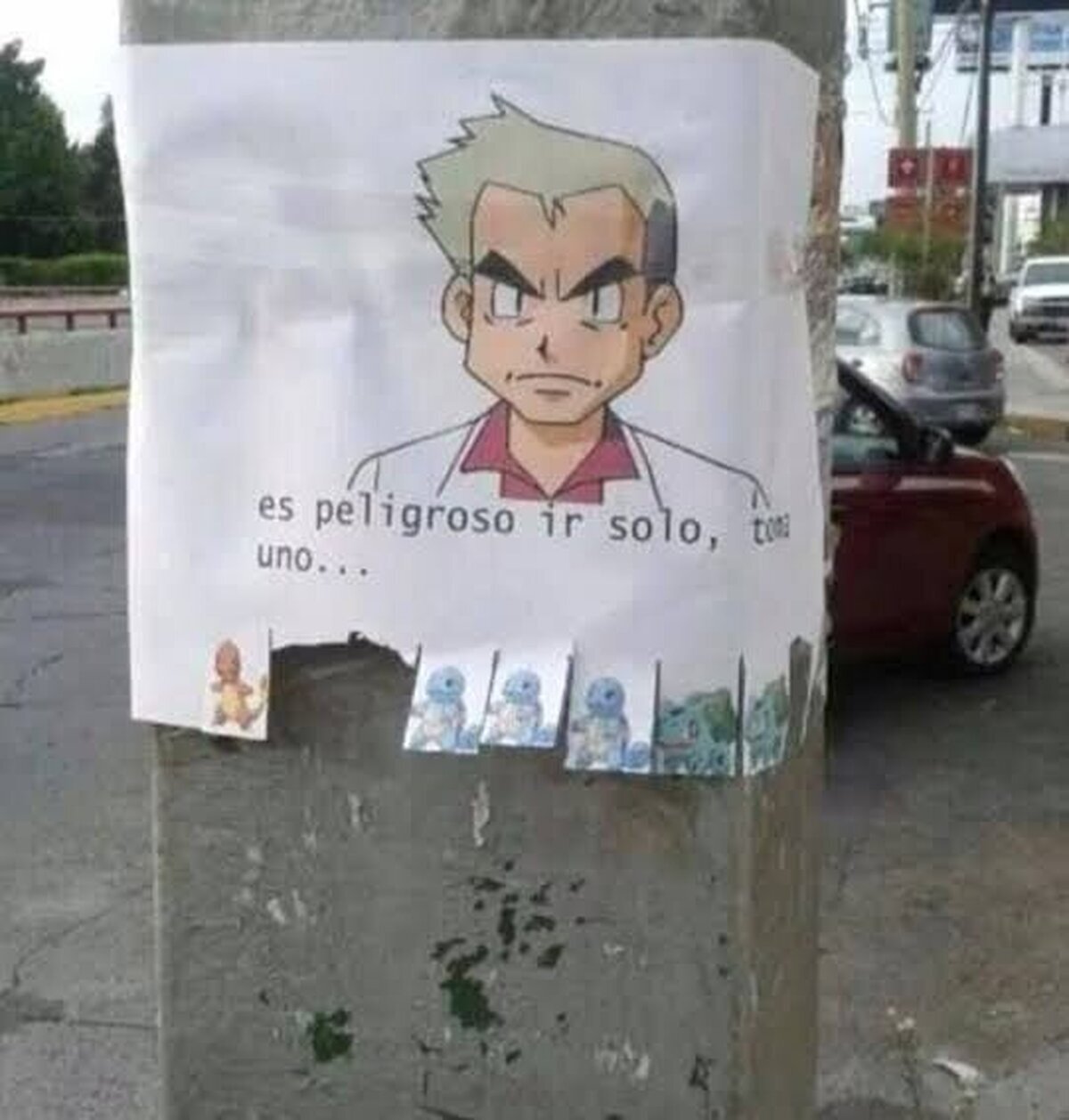 Curioso como la mayoría elige a Charmander