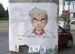 Curioso como la mayor&iacute;a elige a Charmander