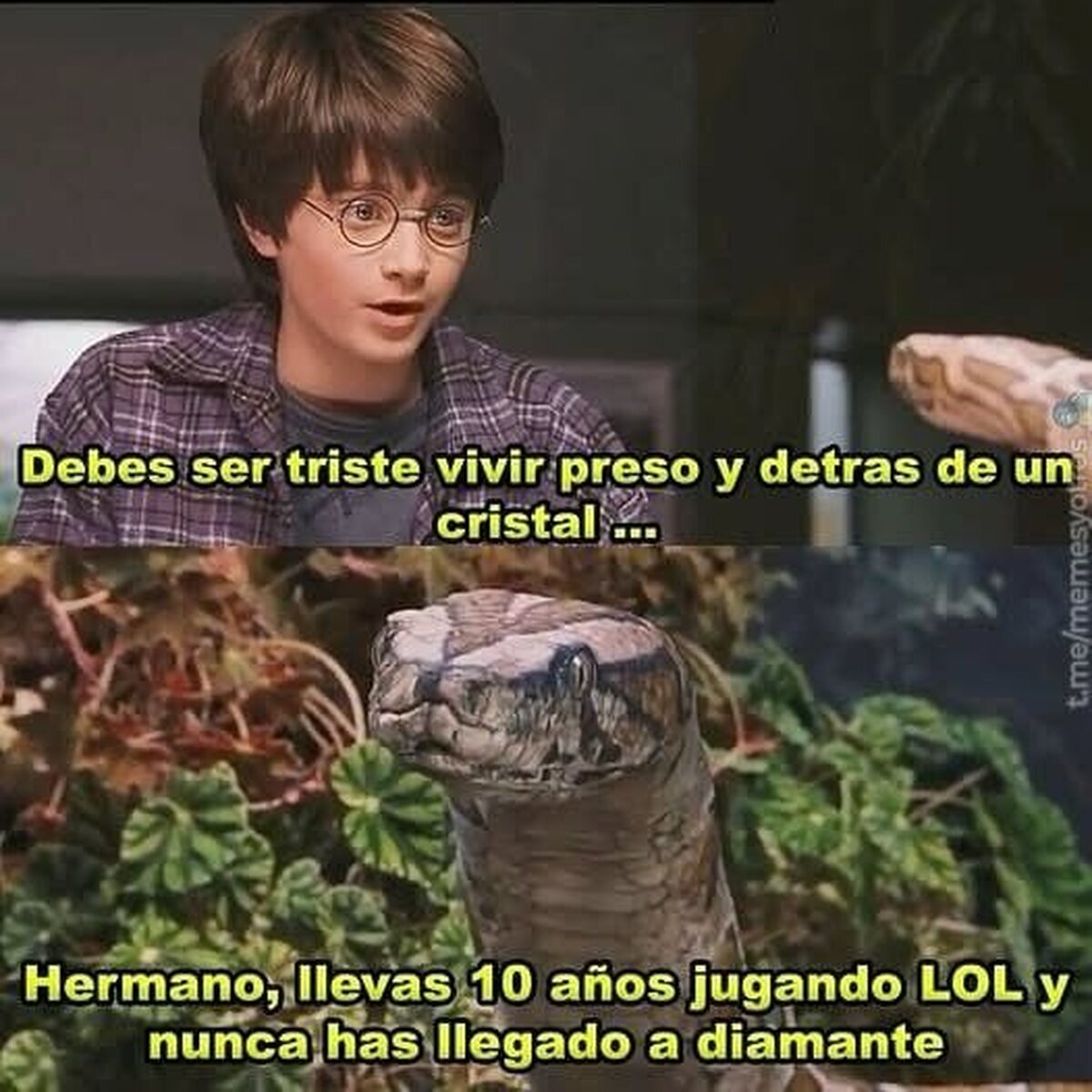 Es una pérdida total de tiempo