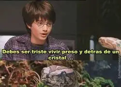 Es una p&eacute;rdida total de tiempo