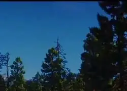 Jack tomando el control de la banda