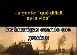 &iquest;Alguien  quiere pensar en las hormigas?