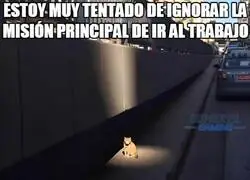 Me distraigo con facilidad