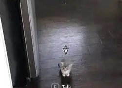 Dejo la misi&oacute;n principal para saber qu&eacute; quiere