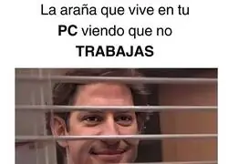 Empieza a hacer frio en esa caja