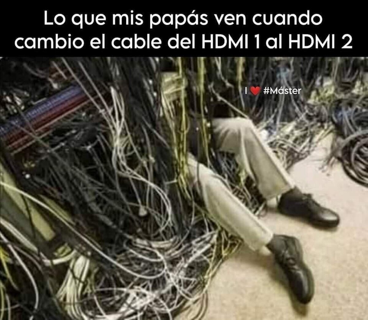 Hay un genio en la casa