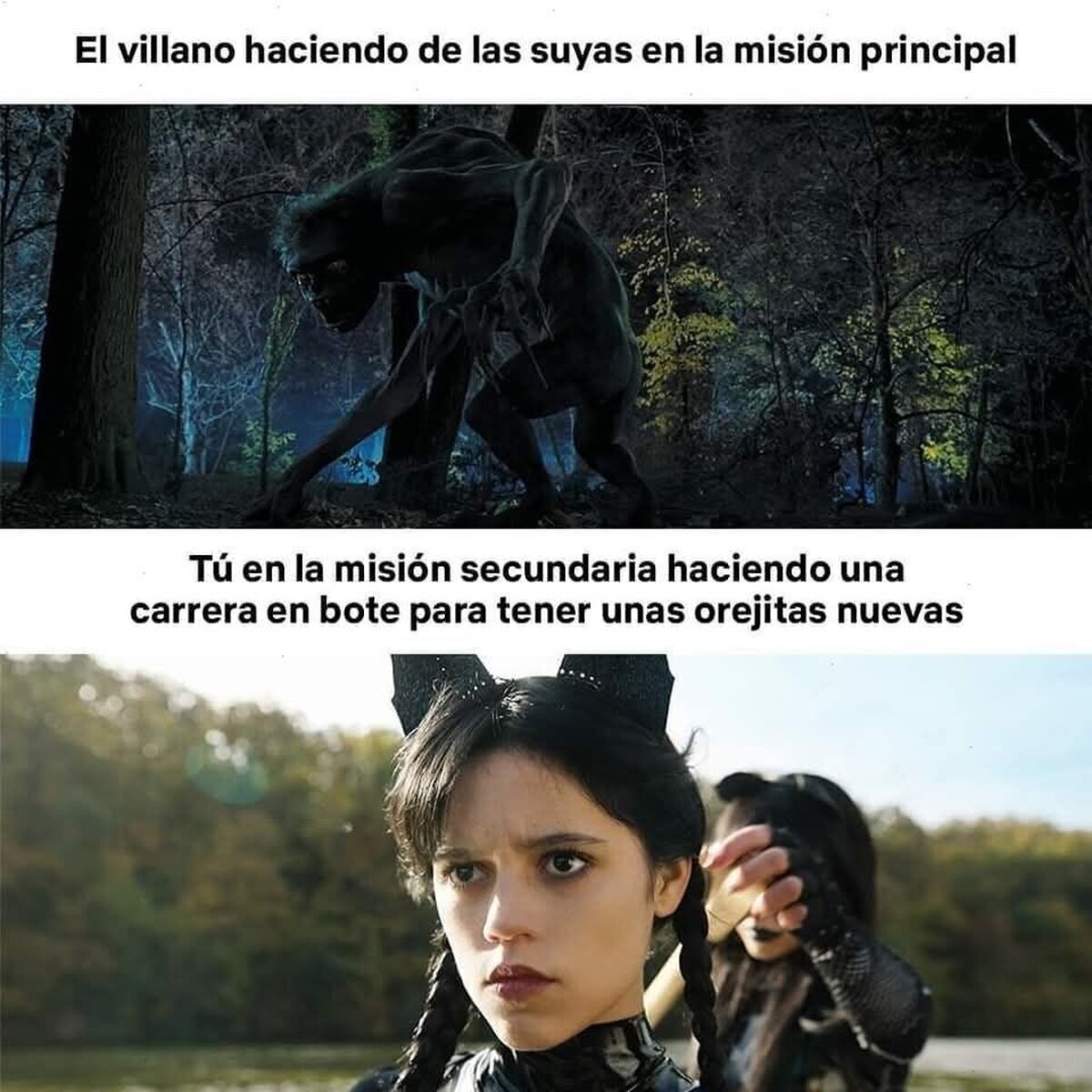 A por las orejitas nuevas