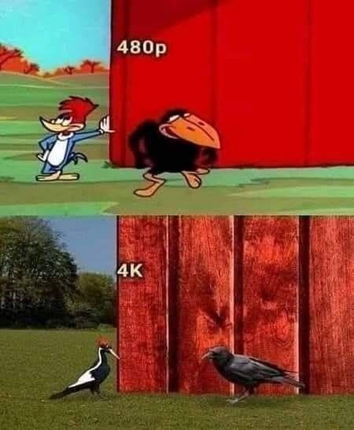 Todo cambia con el 4K