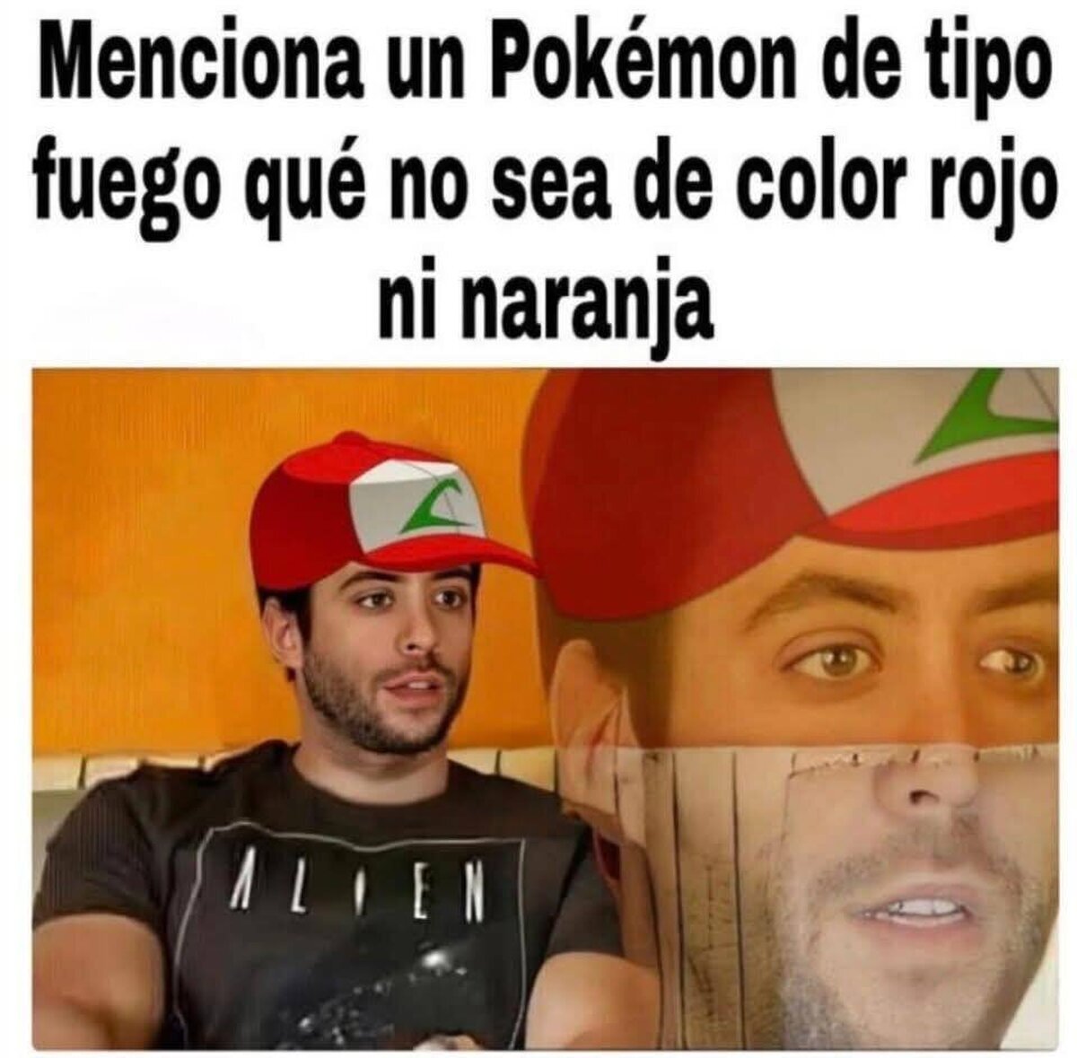 Leemos a los expertos