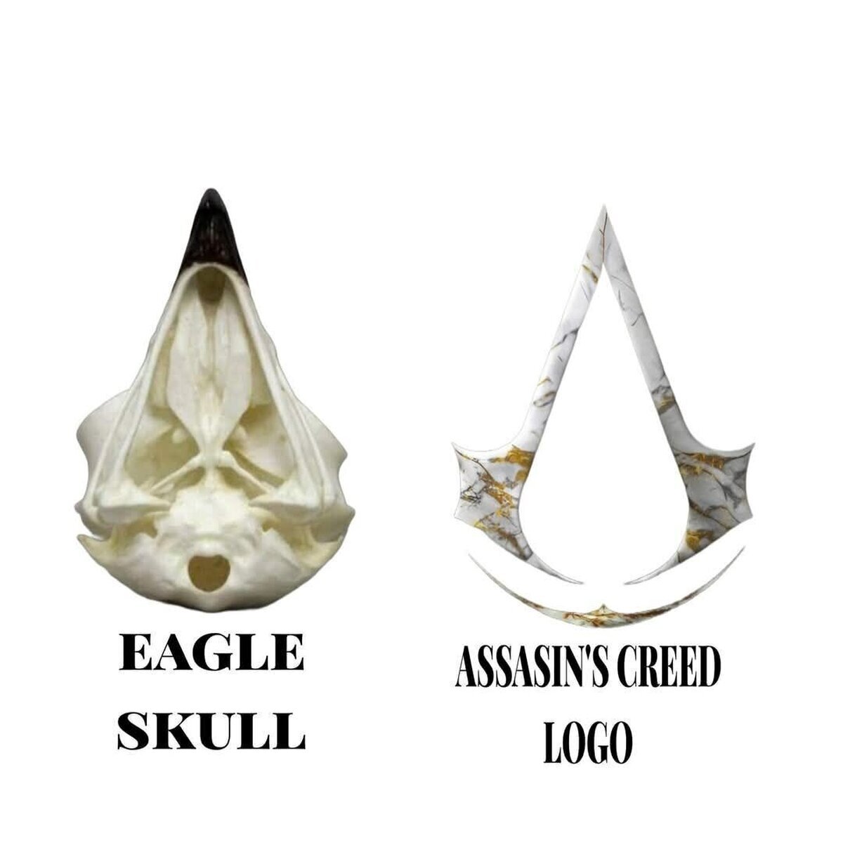 ¿Ubisoft sabía esto o fue coincidencia?