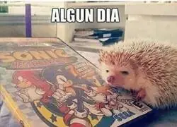 El &iacute;dolo de todos los erizos