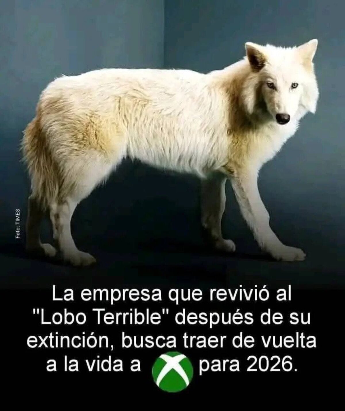 Revivamos más muertos