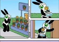 Xbox marchita todo lo que toca