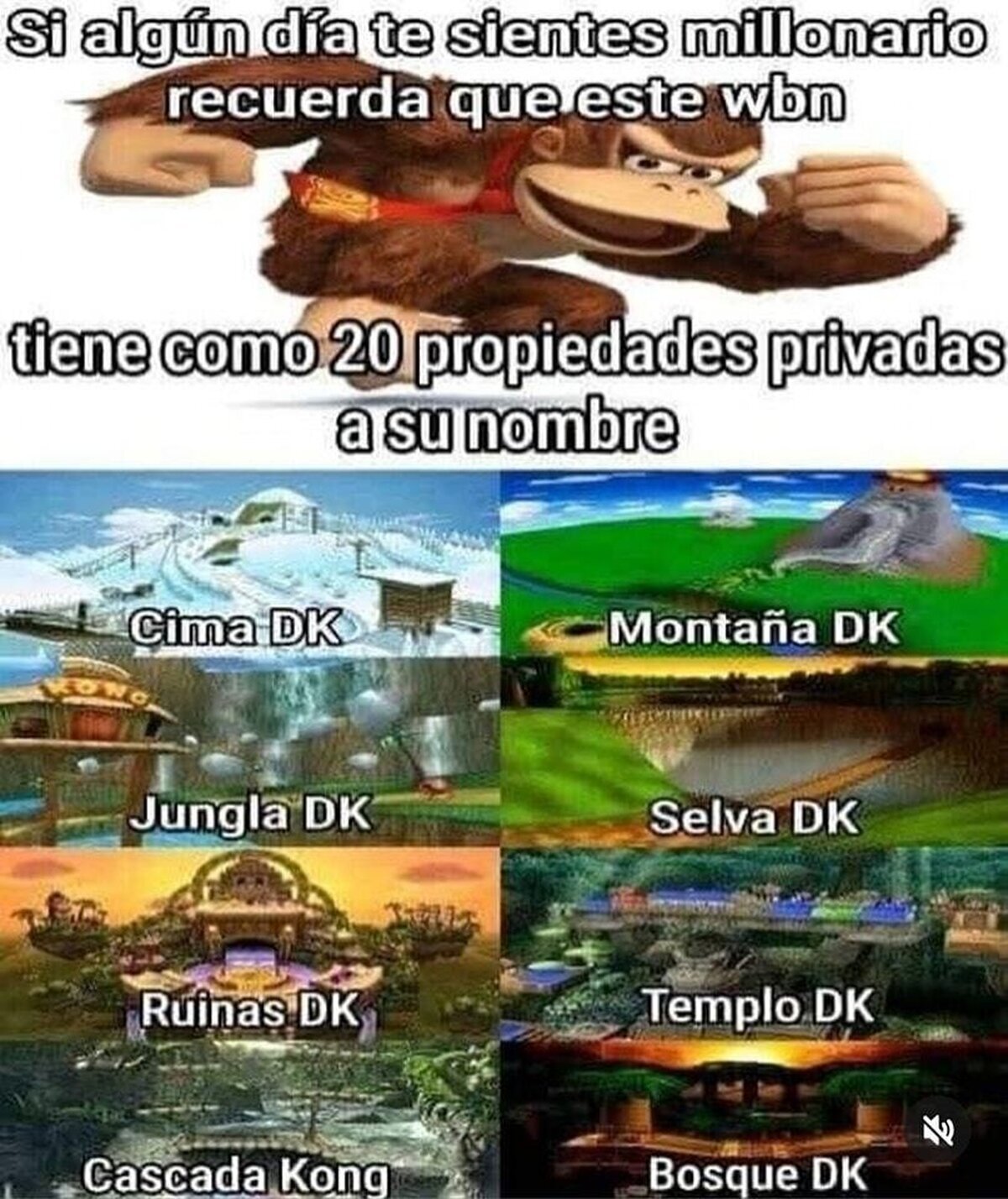Imagina el patrimonio de ese mono