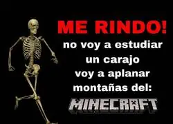 Minecraft siempre est&aacute; para mi