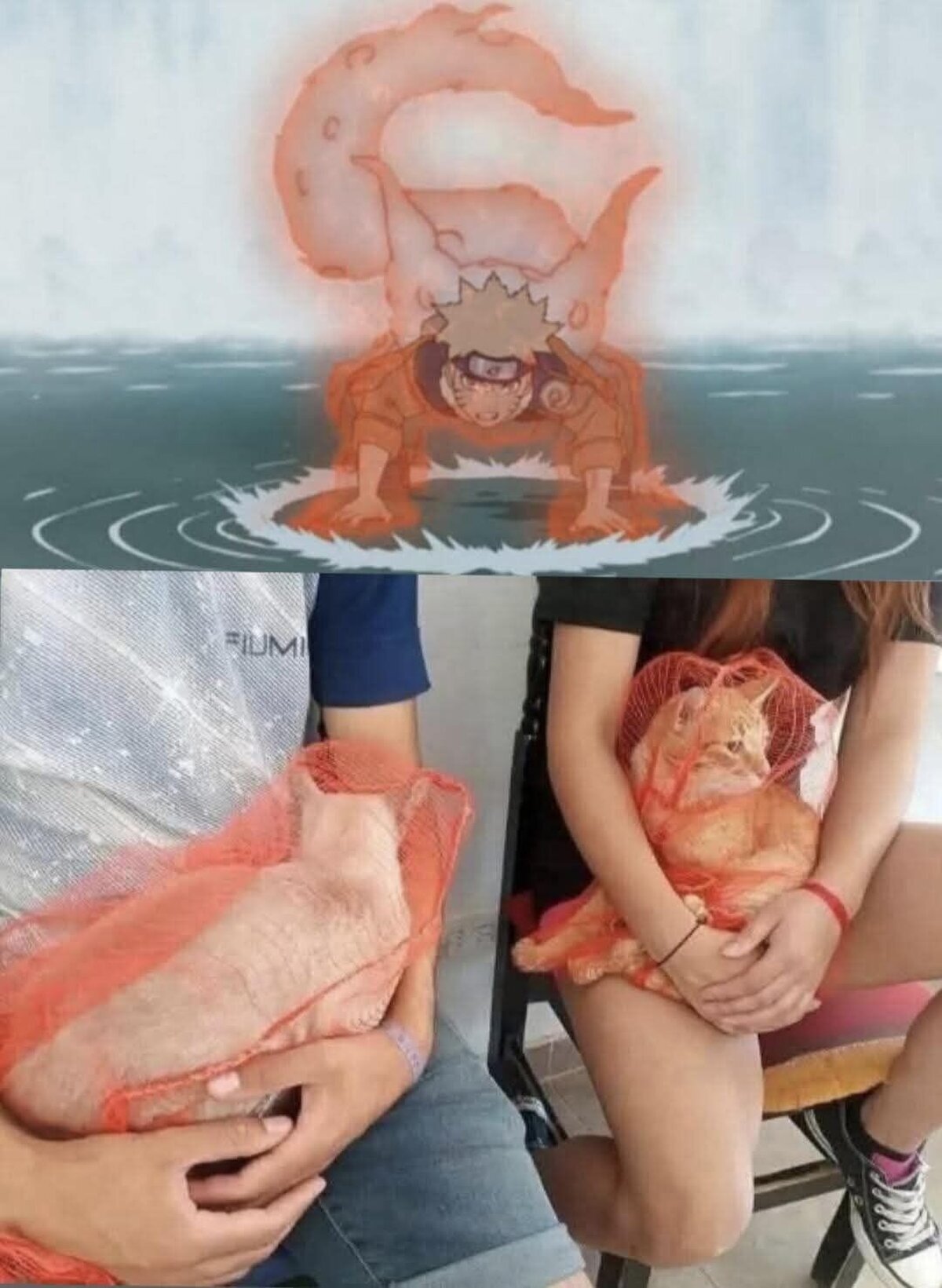 Cosplay involuntario de Kyubi