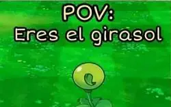 Con mi defensor adelante