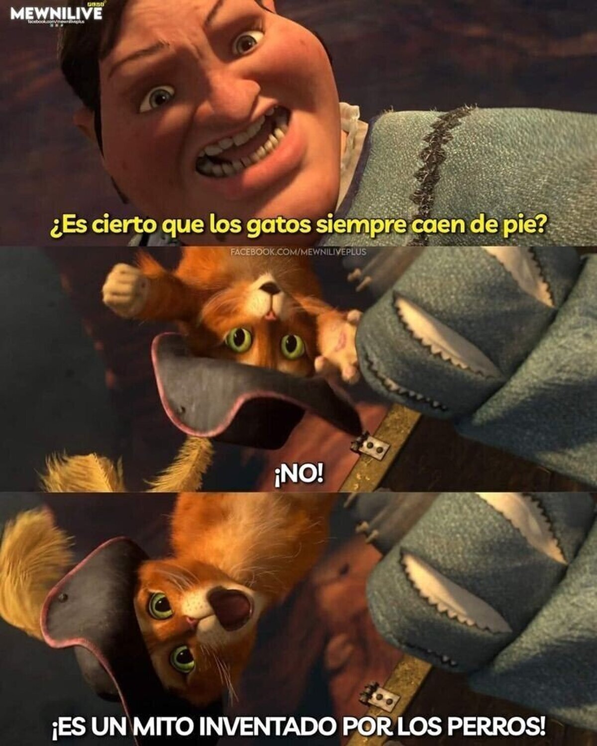 Un mito de los perros