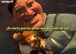 Un mito de los perros