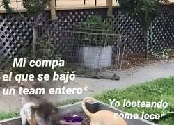 Mi labor dentro del grupo