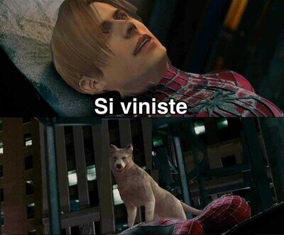 Que perro más fiel