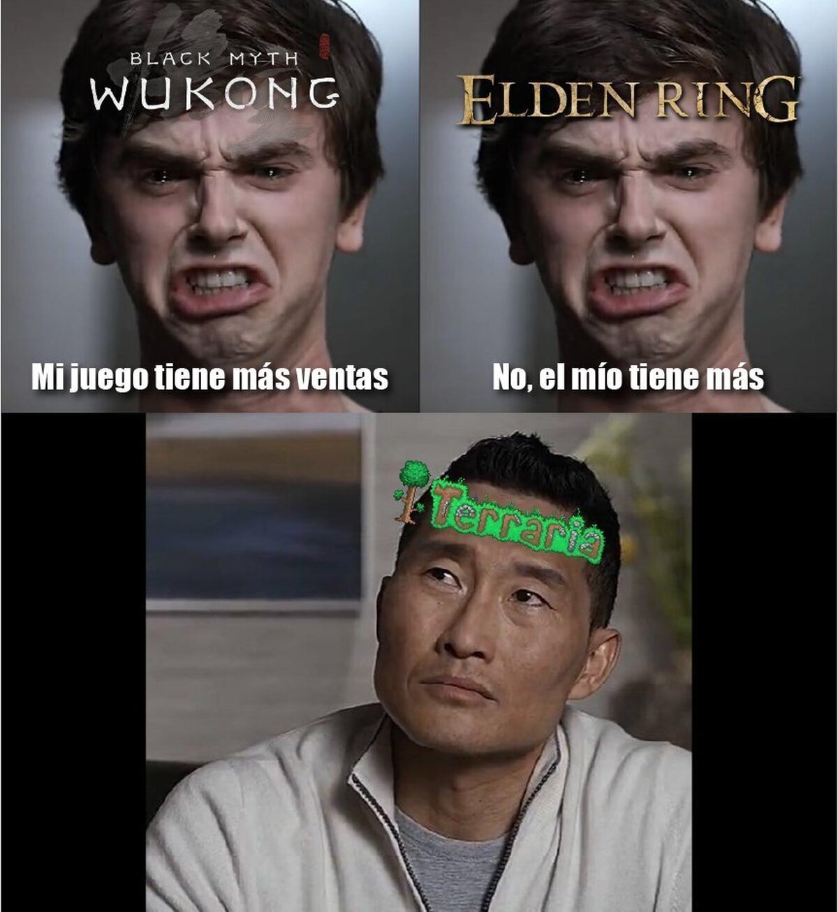 Aprecio por Terraria