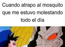 La venganza ser&aacute; dulce