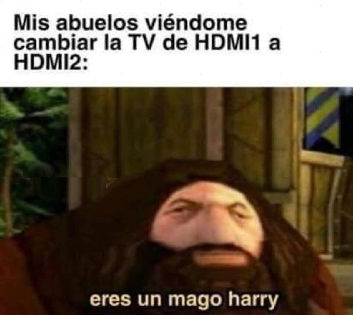 Un genio en la familia