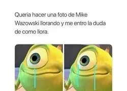 Pong&aacute;monos serios por un rato