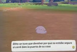 A veces me pasa como a Ditto