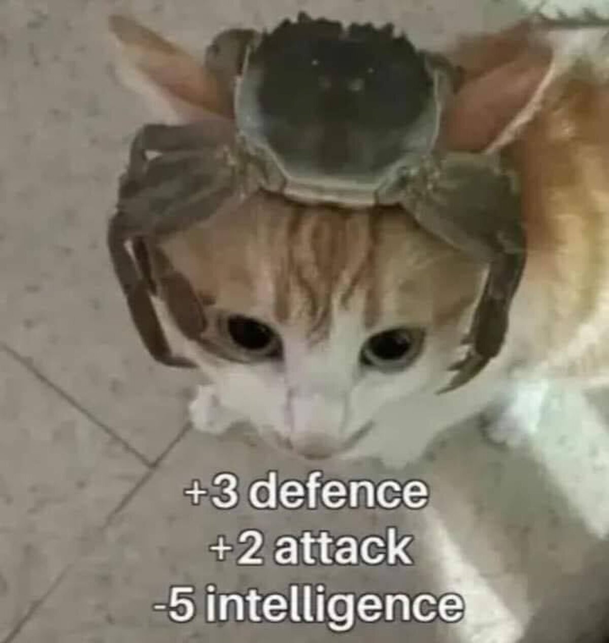 Que casco tan elegante
