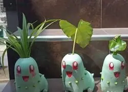 Los mejores tiestos de la vida