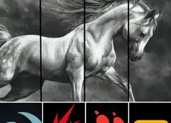 Compa&ntilde;&iacute;as que solo saben hacerlo bien