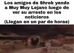 Es lo que hacen los verdaderos amigos