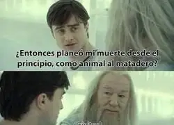 Cada d&iacute;a m&aacute;s canon el Puerco-Potter