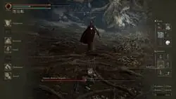 Jugador de Elden Ring descubre que Malenia no puede tocarte si haces el gesto de un "ovillo"