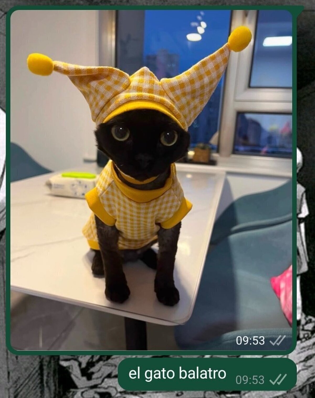 El gato balatro