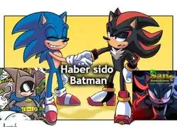 Los erizos de la noche