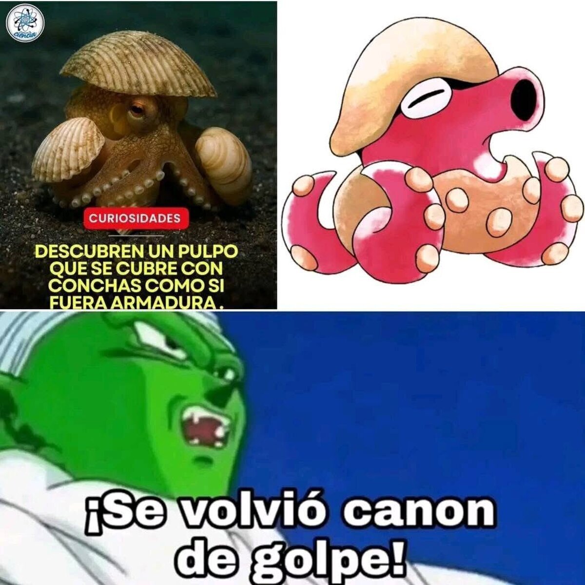 Hay que vigilar ese pulpo