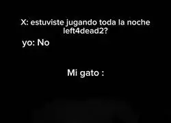 Un gato que absorbe todo