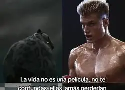 Esta es una dura realidad