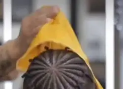 Peinado de la codicia